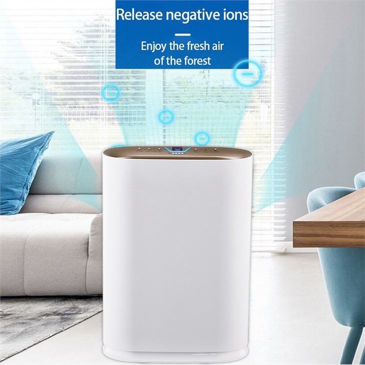 BKJ-300 Air Purifiers Can Help Remove Allergens And Irritants