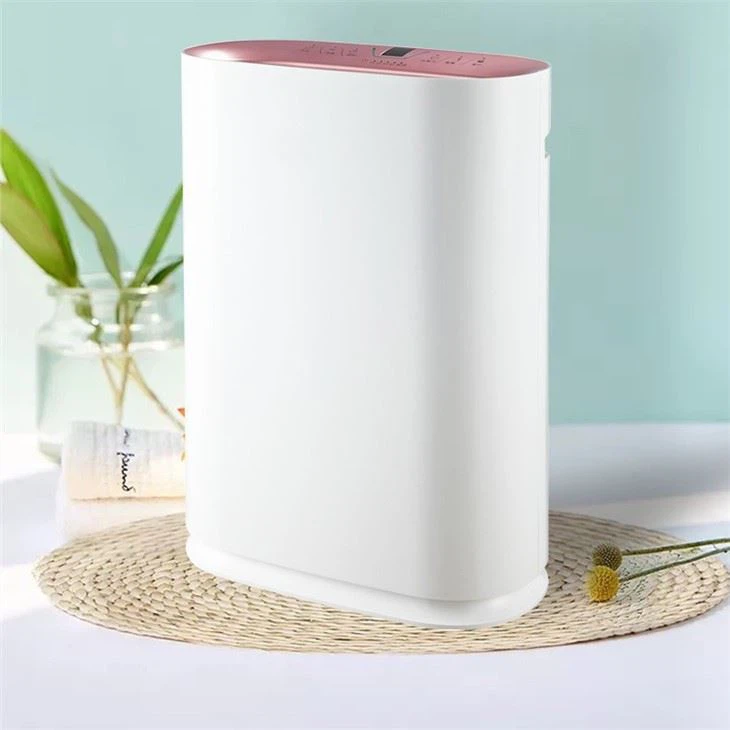 BKJ-300 Economic Standing Home Air Purifier