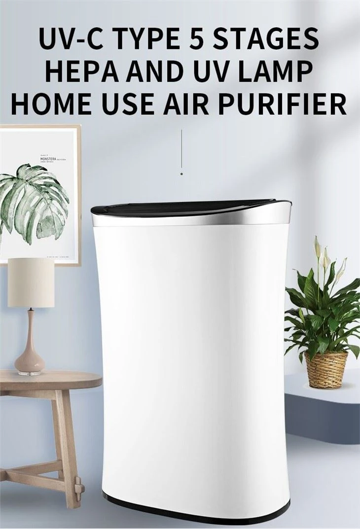 BKJ-350A Hot Selling High Efficient Ionizer Air Purifier For Home