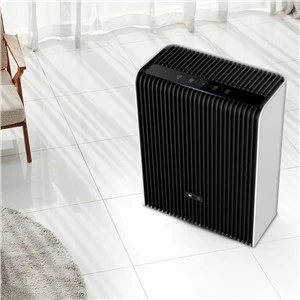 Black Home Air Purifier Anion-technologie