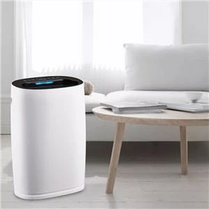 BKJ-306 Smart Home-luchtreiniger met anionfunctie