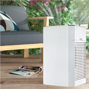 BKJ-80B Uitstekend ontwerp Functioneel Home Anion Luchtreiniger