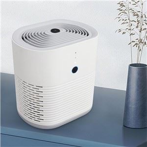 Gepersonaliseerde luchtreiniger met AC-motor