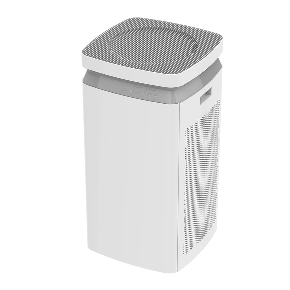 BKJ-90 Double Filtters Air Purifier suppliers