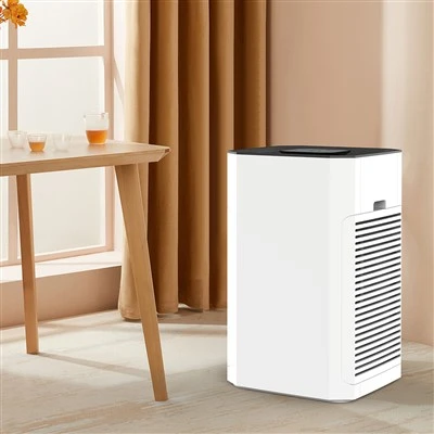 Bkj -80 b Air Purifier voor grote ruimte